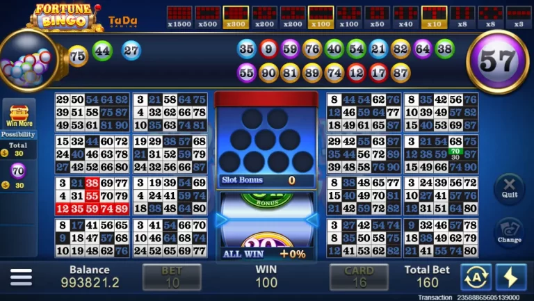 Fortune Bingo Game 3