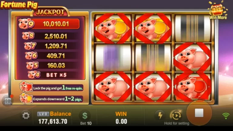 Fortune Pig Game 3