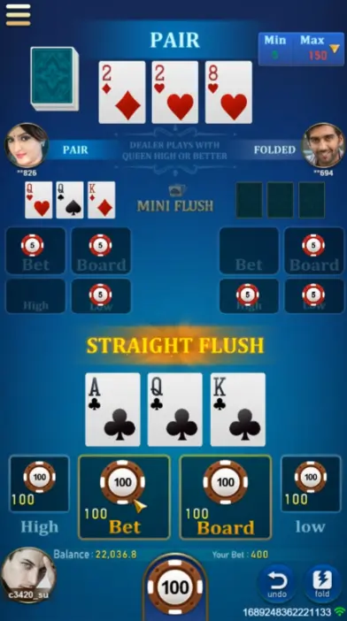 Mini Flush Game 2