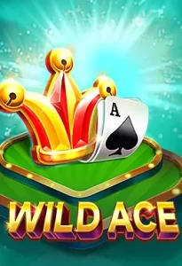 Wild Ace Logo