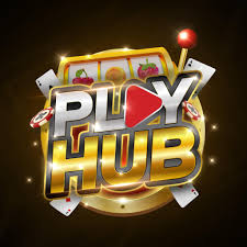 PlayHub8