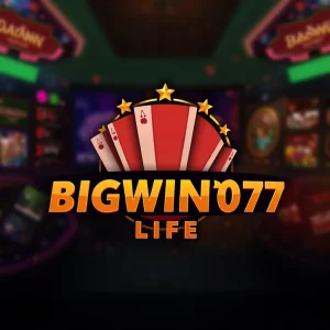 BIGWIN777 LIFE-logo