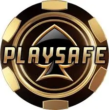 PLAYSAFE888 Casino-logo