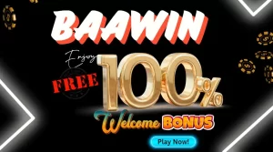 BAAWIN-logo