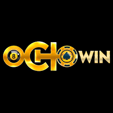 OCHOWIN-logo