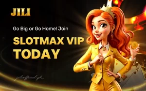 SlotMax VIP